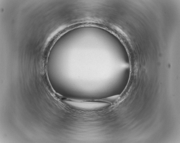 X0000087751310200705211027