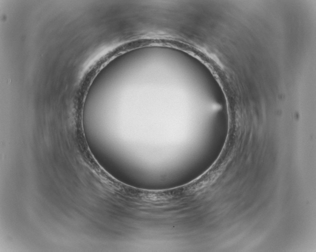 X0000087751311200705211027