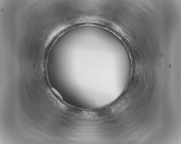 X0000087751312200705211027