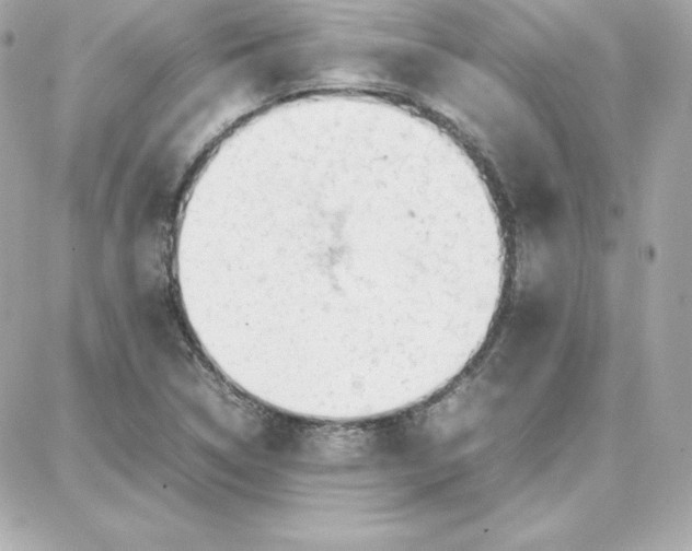 X0000087751314200705211027