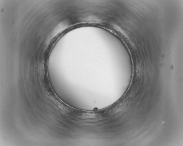 X0000087751315200705211027