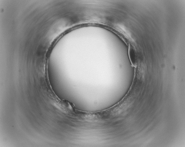 X0000087751316200705211027