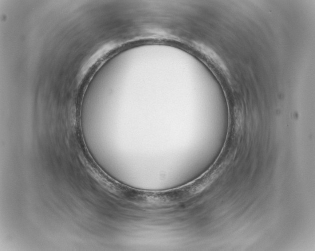 X0000087751318200705211027