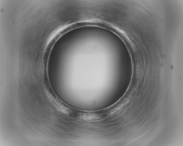 X0000087751319200705211027