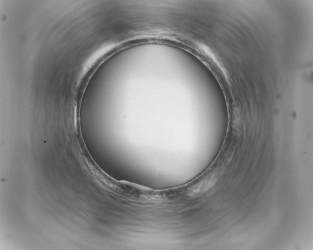 X0000087751320200705211027