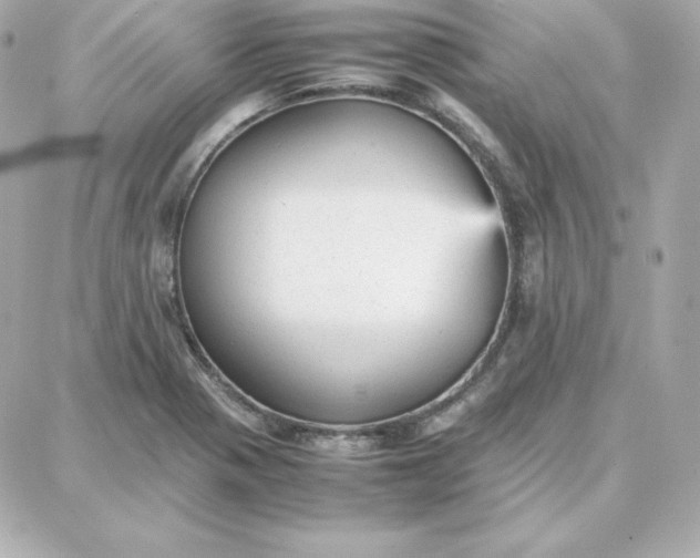 X0000087751321200705211027