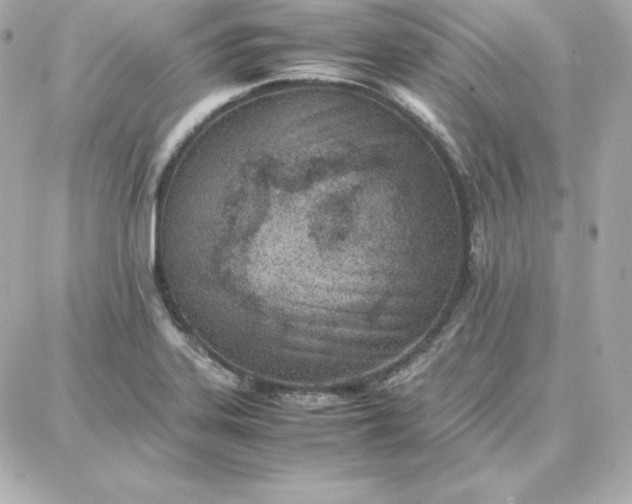 X0000087751323200705211027