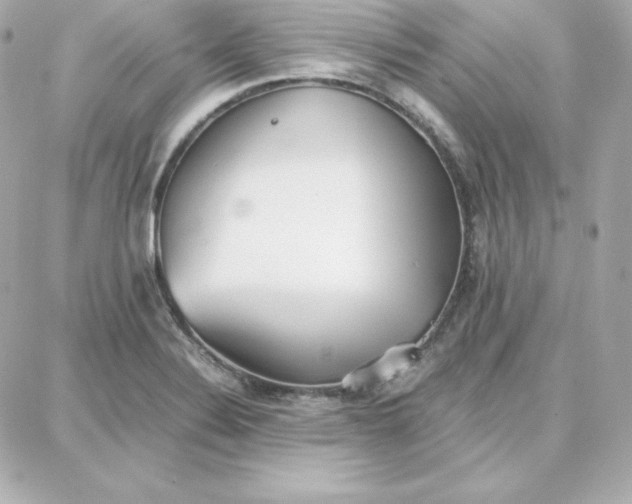 X0000087751324200705211027