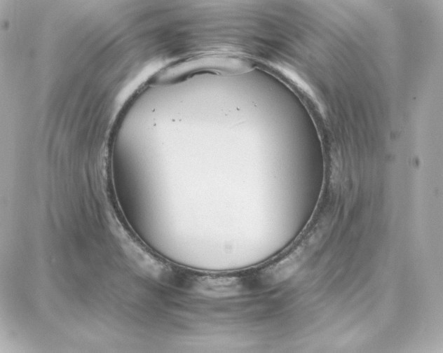 X0000087751325200705211027