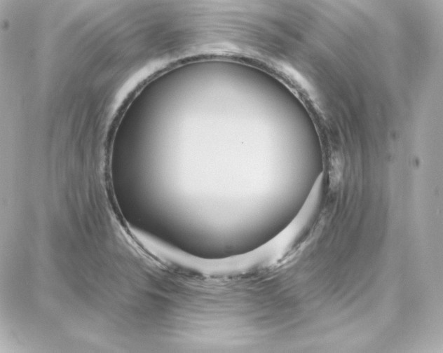 X0000087751326200705211027