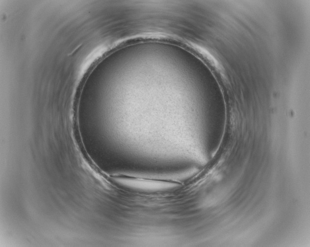 X0000087751327200705211027