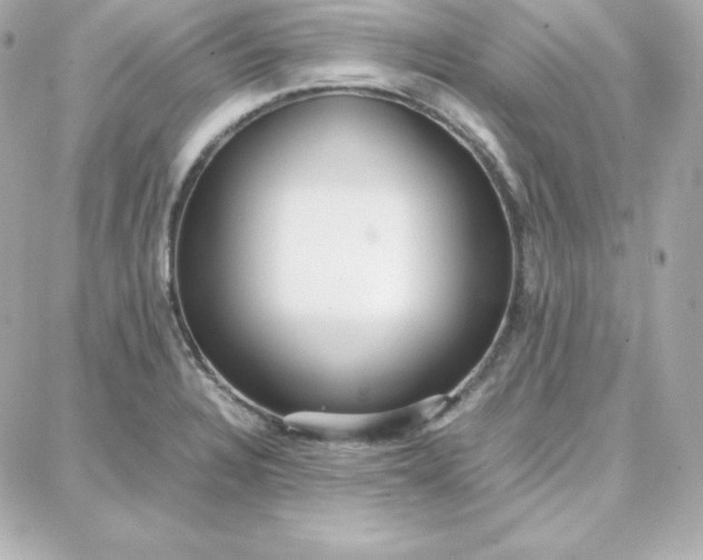 X0000087751328200705211027