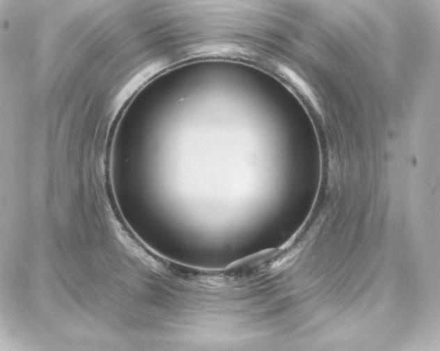 X0000087751330200705211027