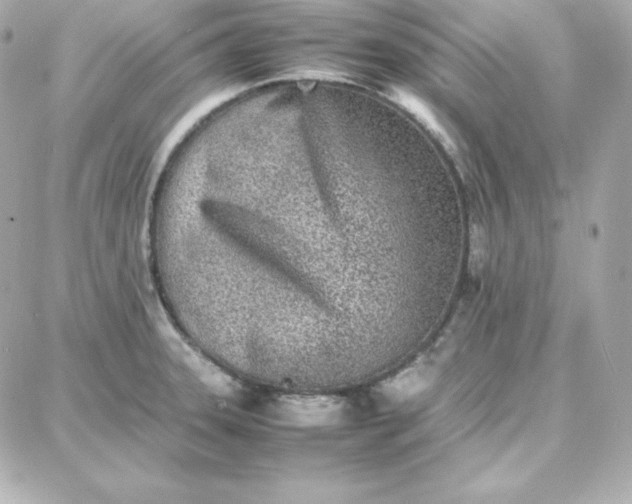 X0000087751331200705211028