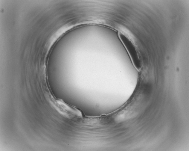 X0000087751332200705211028