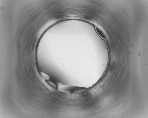 X0000087751333200705211028