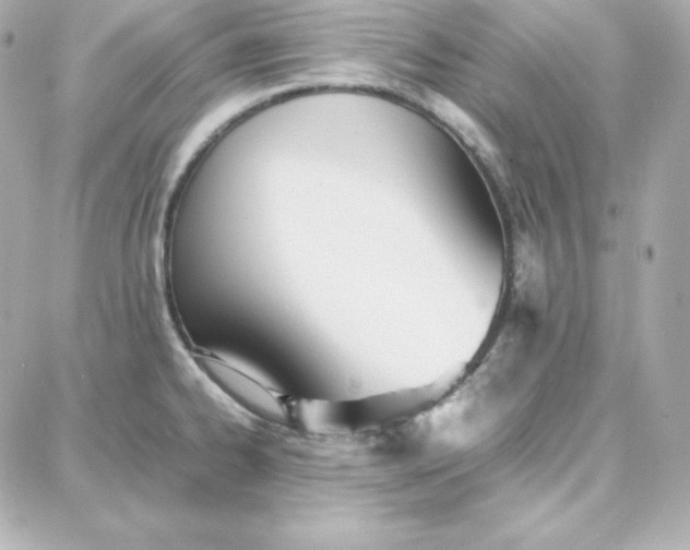 X0000087751334200705211028