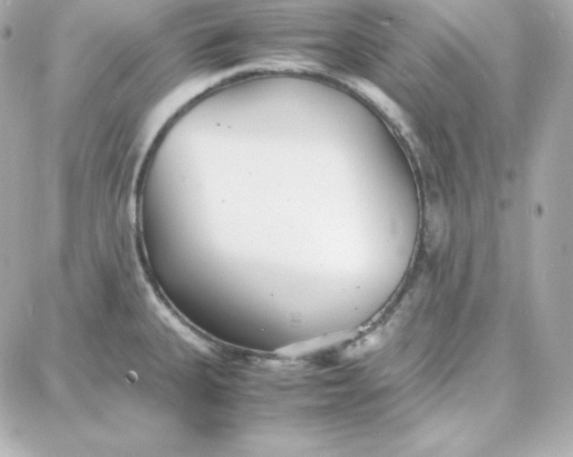 X0000087751335200705211028