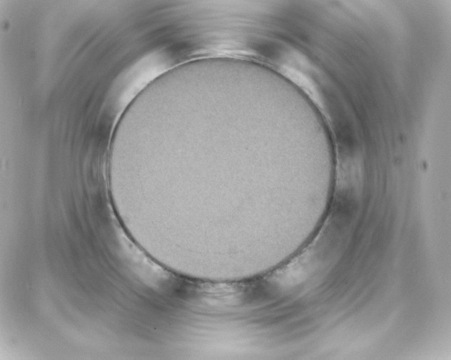 X0000087751338200705211028