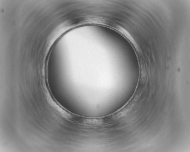 X0000087751339200705211028