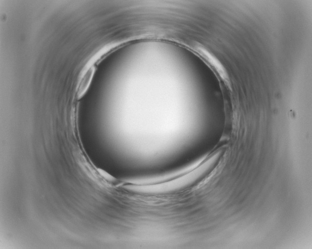 X0000087751340200705211028