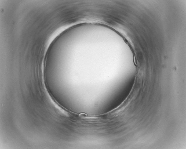 X0000087751343200705211028