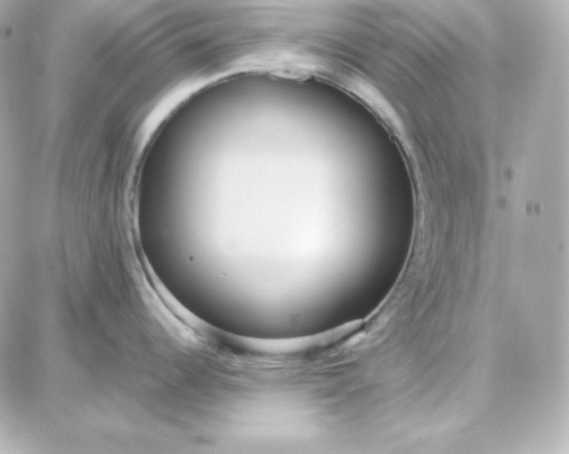 X0000087751344200705211028