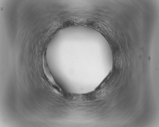 X0000087751345200705211027