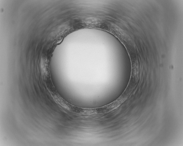 X0000087751346200705211027