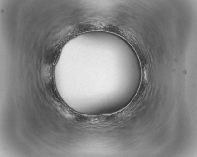 X0000087751347200705211027