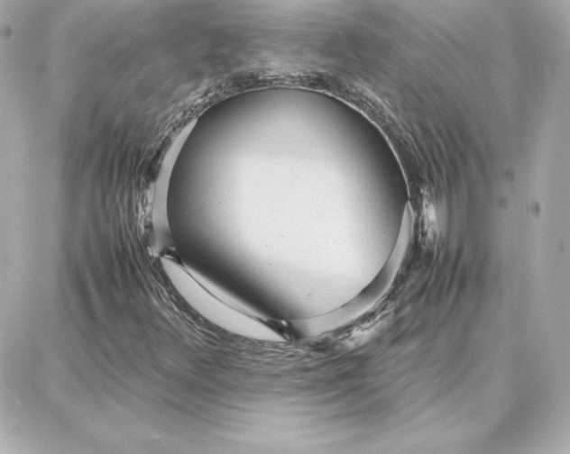 X0000087751348200705211027