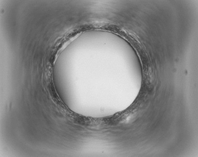 X0000087751349200705211027