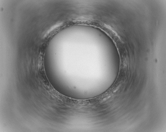 X0000087751350200705211027