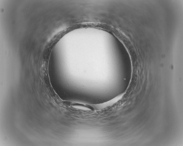 X0000087751351200705211027