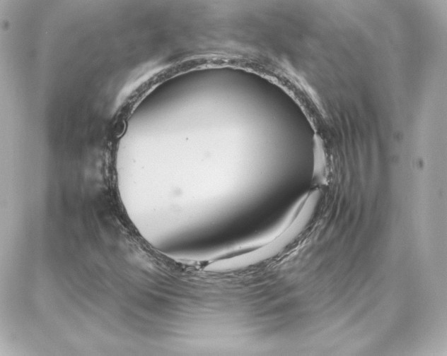 X0000087751352200705211027