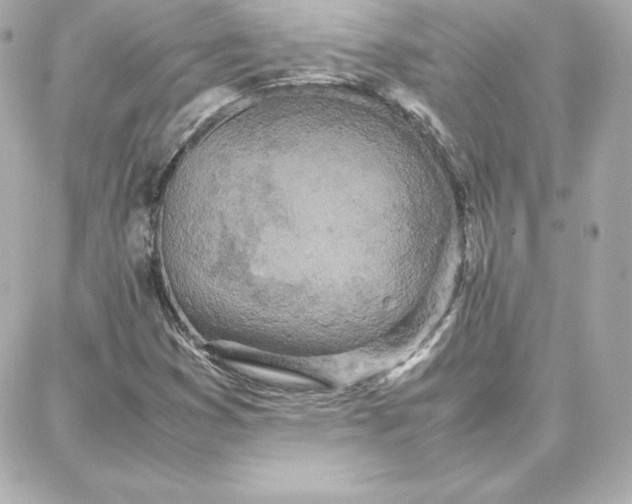 X0000087751353200705211027