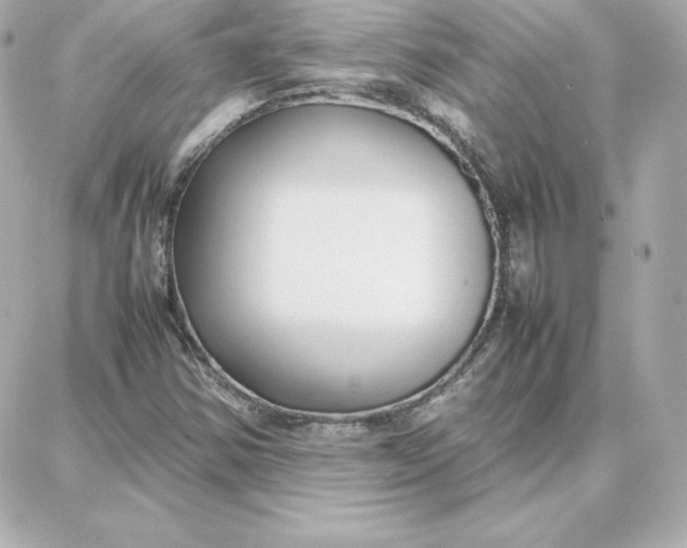 X0000087751354200705211027