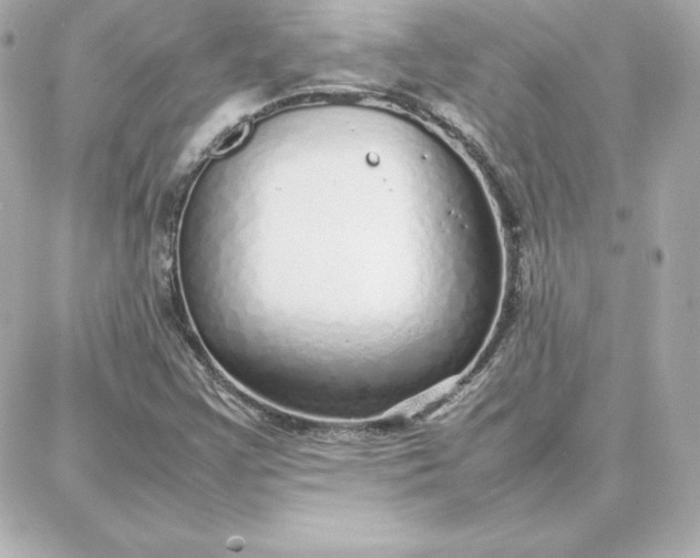 X0000087751355200705211027