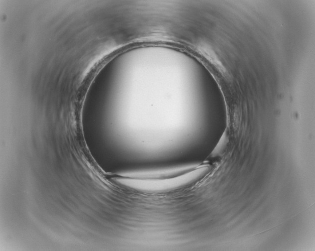 X0000087751356200705211027