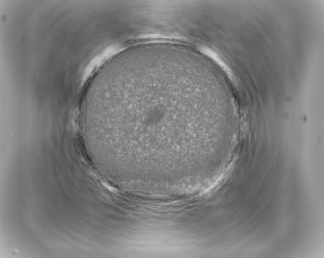 X0000087751357200705211027