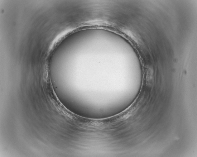 X0000087751358200705211027