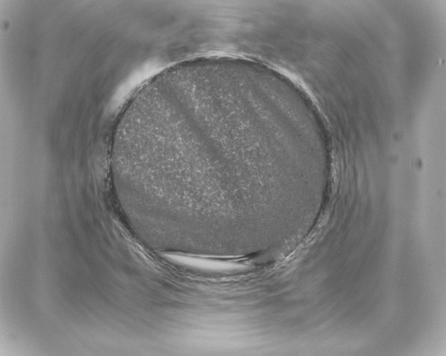 X0000087751359200705211027