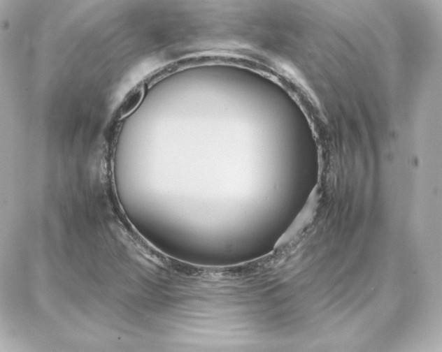 X0000087751360200705211027