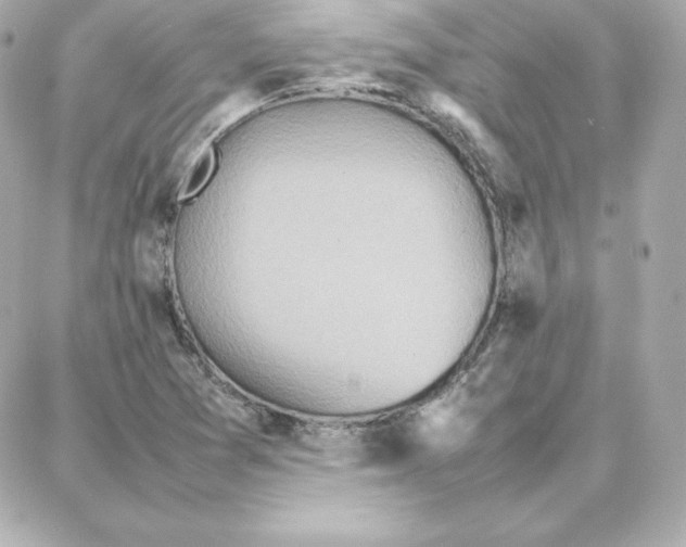 X0000087751361200705211027