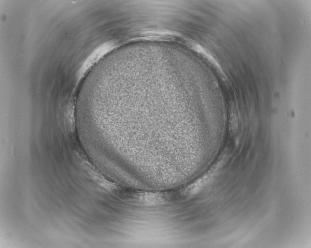 X0000087751362200705211027