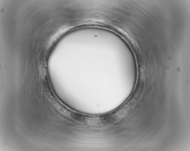 X0000087751363200705211027