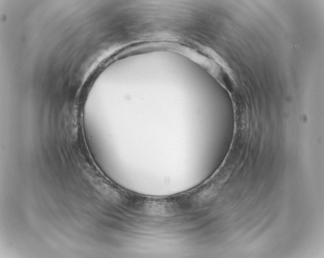 X0000087751364200705211027