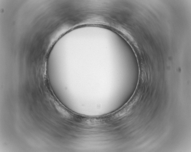 X0000087751366200705211027