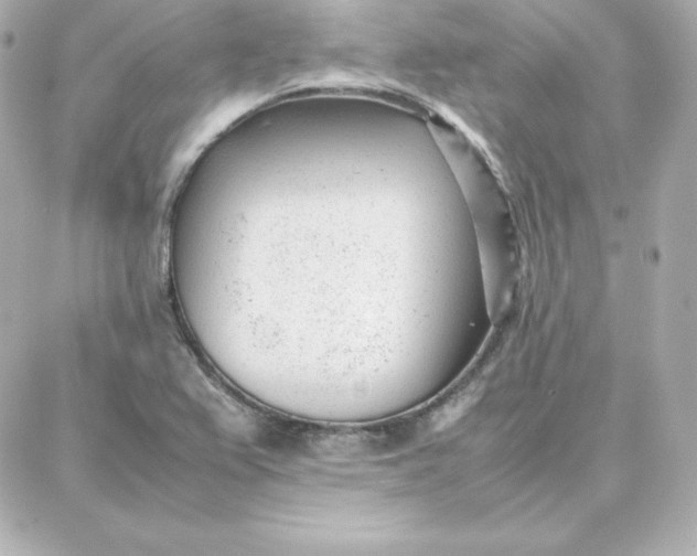 X0000087751367200705211027