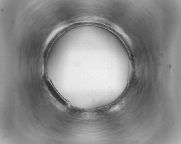 X0000087751368200705211027